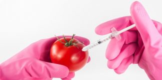 genetic engineering career