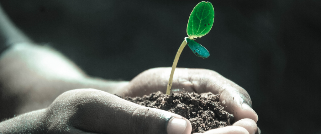 World soil day 2019