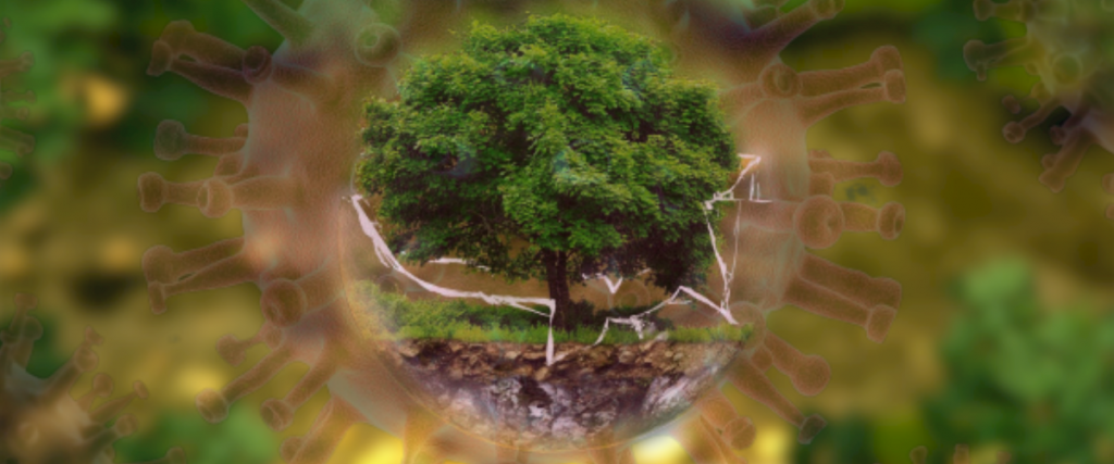 Earth Day Amidst COVID19