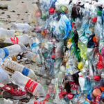 PLastic Parks Scheme