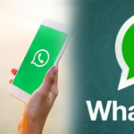 Whatsapp restore and backup