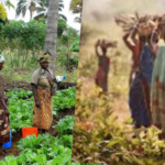 International Day of Rural Women