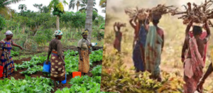 International Day of Rural Women