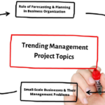 Management Project Topics