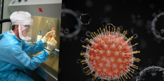 career as virologist