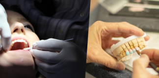 dentistry as career