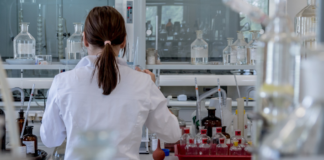 Career in Doctoral Studies
