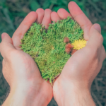 Ecocide Bill of France