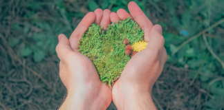 Ecocide Bill of France