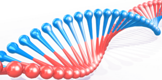 career in genetics