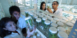 jobs after Msc Biotechnology