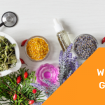What is Ayush Grid Project?