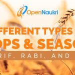 Different Types of Crops & Seasons